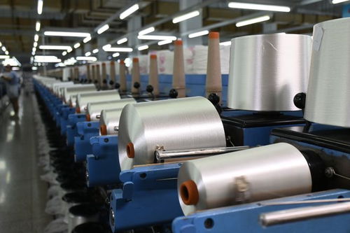 特別報道 這群老外,今天因何對吉林化纖豎起了大拇指